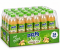 Ginger Ale - Pack of 24