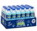 Blueberry Soda - Pack of 24