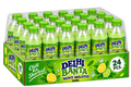 Mint Mojito Soda - Pack of 24